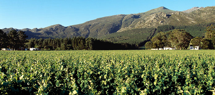 George - Garden Route
