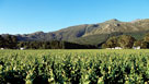 George - Garden Route