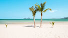 Koh Mook