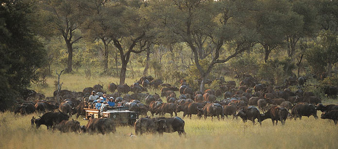 Privata safarilodger, Sydafrika
